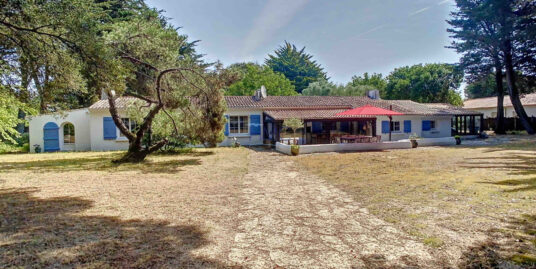 EXCEPTIONNEL – SUR LA DUNE – TRES BELLE PROPRIETE SUR 6700m2