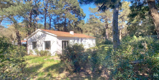 A 100m DE LA PLAGE – PROPRIETE AVEC 1785m2 DE TERRAIN