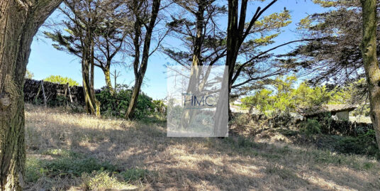 EXCEPTIONNEL – TERRAIN À BÂTIR  DE 700 m2 – À 50 m DE LA PLA